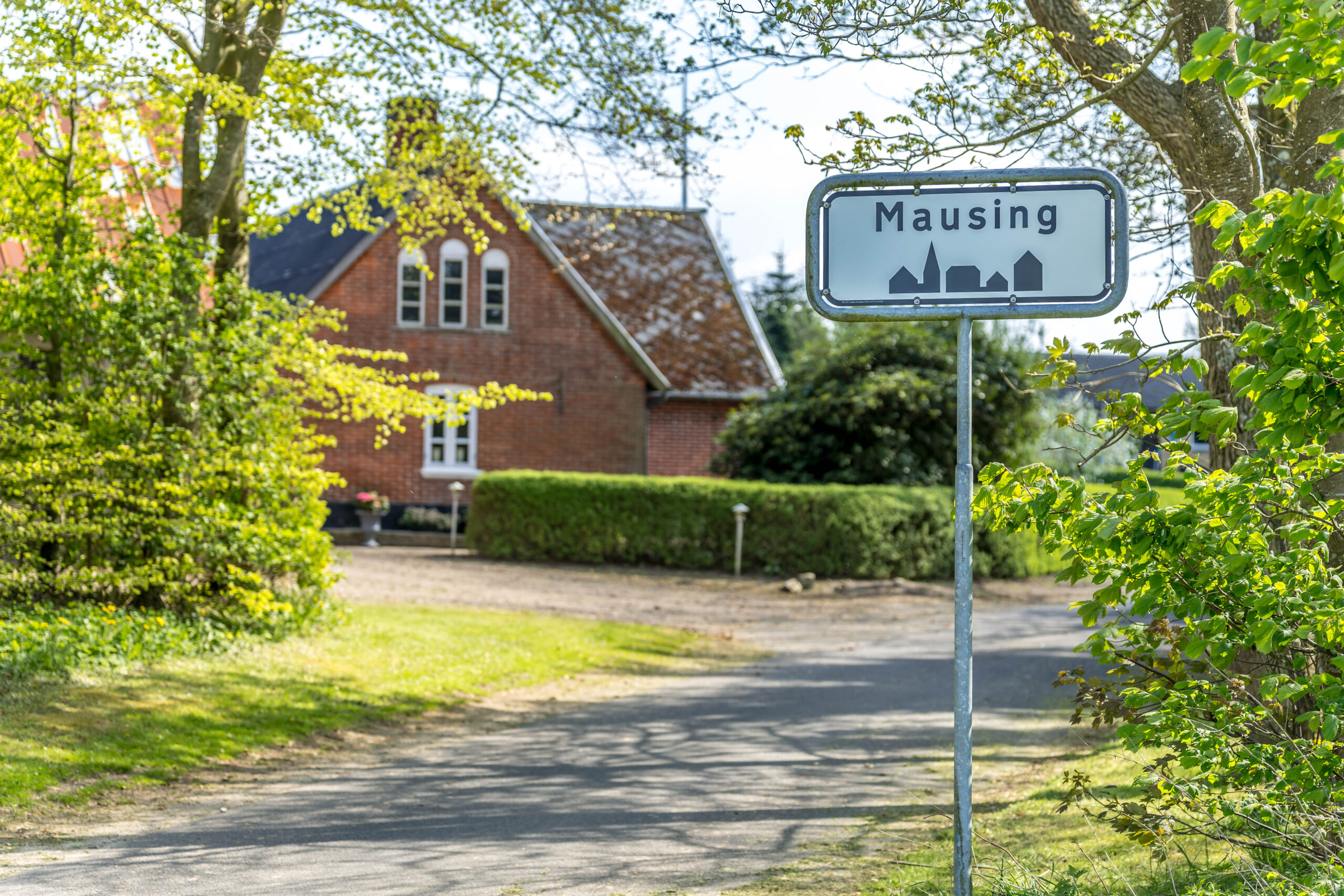 BILLEDE 2 250501 Silkeborg Kalder Pernille Burø Mausing 1