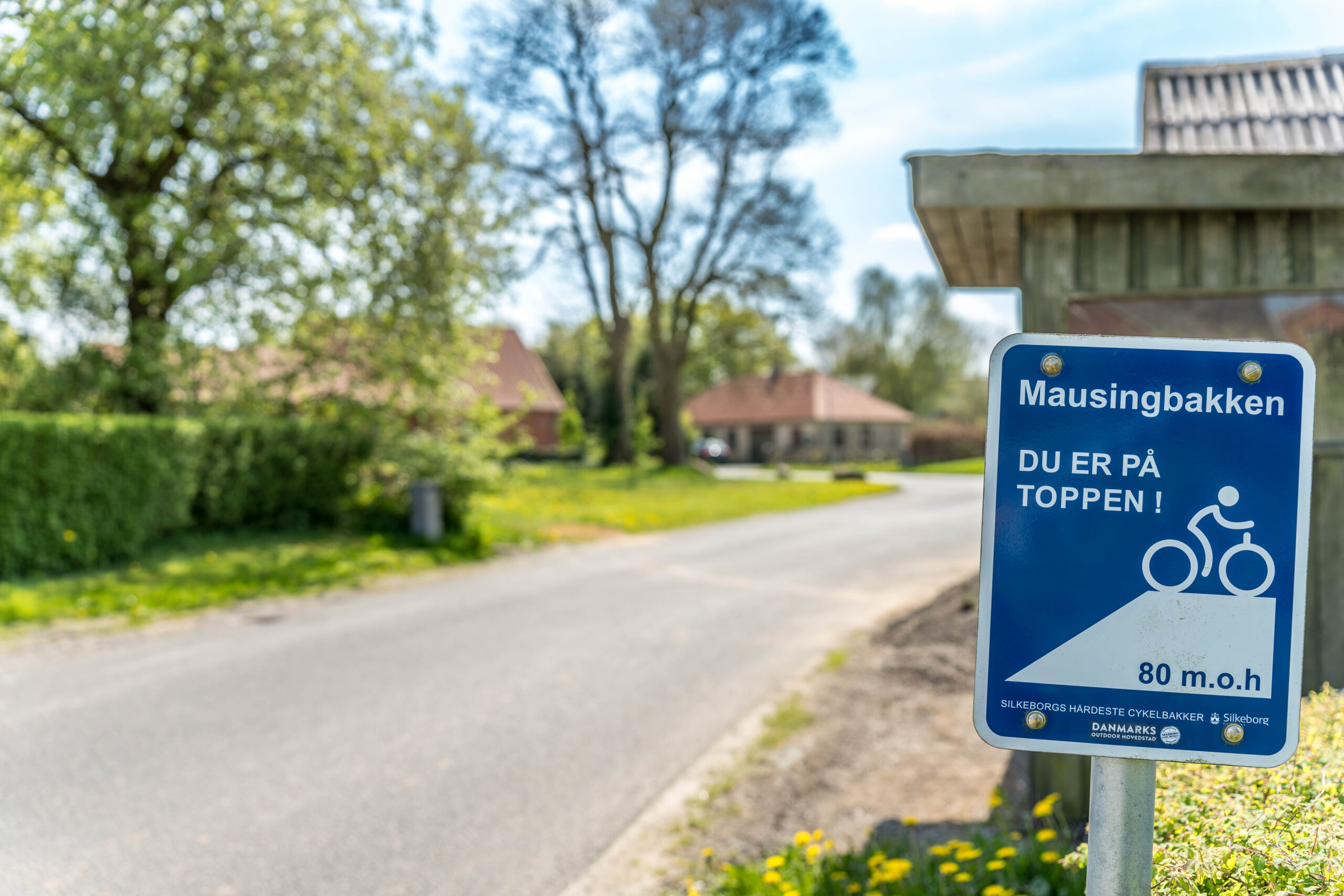 BILLEDE 6 250501 Silkeborg Kalder Pernille Burø Mausing 3